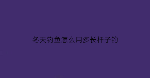 冬天钓鱼怎么用多长杆子钓(冬天野钓用多长的鱼竿)