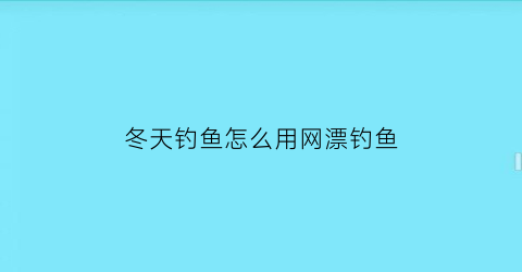 冬天钓鱼怎么用网漂钓鱼(冬天钓鱼怎么用网漂钓鱼呢)