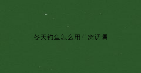 冬天钓鱼怎么用草窝调漂(冬天用草钓草鱼)