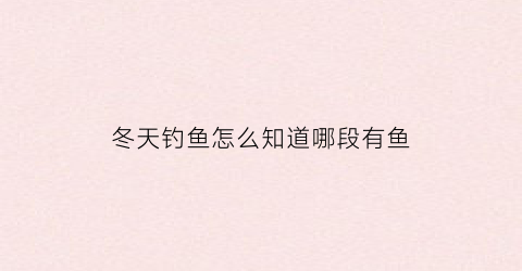 冬天钓鱼怎么知道哪段有鱼(冬天怎么看得出下面没有鱼)