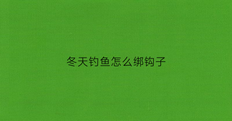 冬天钓鱼怎么绑钩子(冬天钓鱼怎么绑钩子视频)