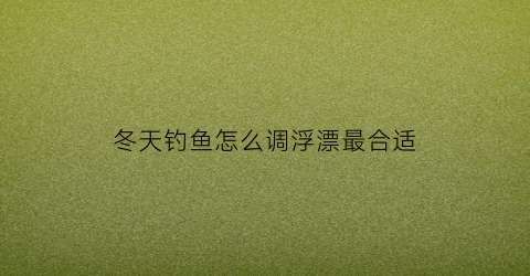冬天钓鱼怎么调浮漂最合适(冬天钓鱼怎样调鱼漂)