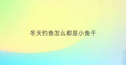 “冬天钓鱼怎么都是小鱼干(冬天钓鱼怎么钓不到)