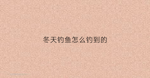 冬天钓鱼怎么钓到的(冬天怎样才能钓到鱼)