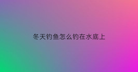 冬天钓鱼怎么钓在水底上(冬天钓鱼怎么钓在水底上呢)