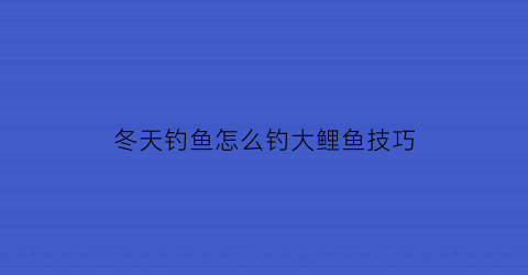冬天钓鱼怎么钓大鲤鱼技巧(冬天如何钓大鲤鱼)