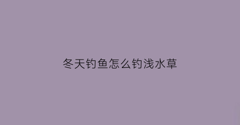 冬天钓鱼怎么钓浅水草(冬天钓草鱼深水还是浅水)