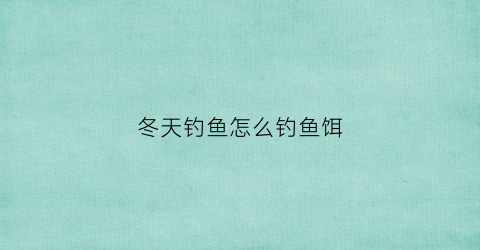 冬天钓鱼怎么钓鱼饵(冬天钓鱼妙招)