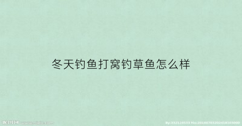 冬天钓鱼打窝钓草鱼怎么样(冬天钓鱼打窝钓草鱼怎么样呢)