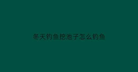 冬天钓鱼挖池子怎么钓鱼(冬天在池塘钓鱼讲究什么)