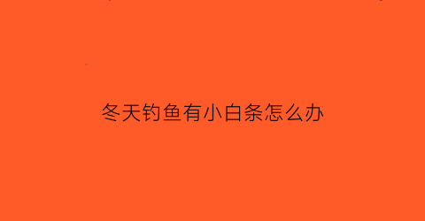 冬天钓鱼有小白条怎么办(冬天钓鱼有小白条怎么办视频)