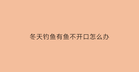 冬天钓鱼有鱼不开口怎么办(冬天钓鱼没口怎么回事)