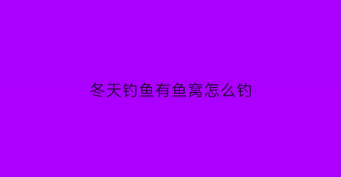 冬天钓鱼有鱼窝怎么钓(冬天钓鱼有鱼窝怎么钓的)