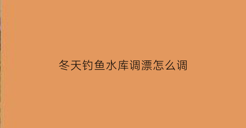 冬天钓鱼水库调漂怎么调(冬天在水库钓鱼怎么调漂)