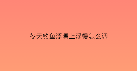 “冬天钓鱼浮漂上浮慢怎么调(冬天钓鱼浮漂调几钓几)