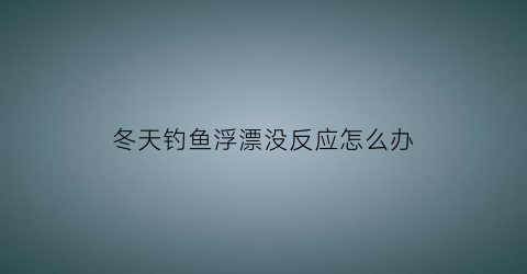 冬天钓鱼浮漂没反应怎么办(冬天钓鱼浮漂调几钓几)