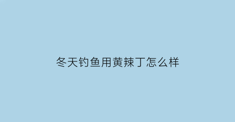 “冬天钓鱼用黄辣丁怎么样(冬天钓黄辣丁好钓吗)