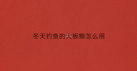 冬天钓鱼的大板鲫怎么用(冬季野钓大板鲫)