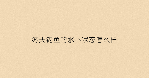 冬天钓鱼的水下状态怎么样(冬天钓鱼是钓底还是钓浮)