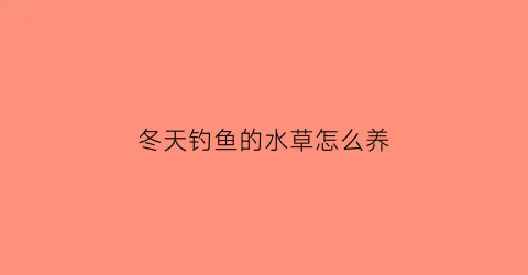 冬天钓鱼的水草怎么养