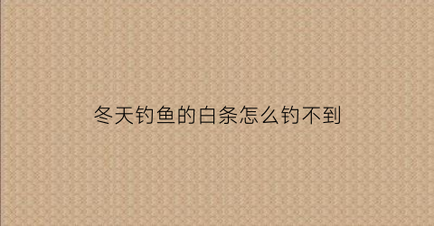 “冬天钓鱼的白条怎么钓不到(冬天野钓白条)