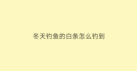 冬天钓鱼的白条怎么钓到