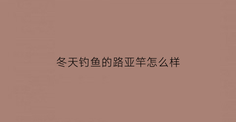 “冬天钓鱼的路亚竿怎么样(冬天钓鱼的路亚竿怎么样好用吗)