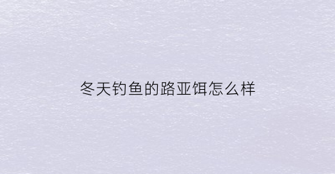 冬天钓鱼的路亚饵怎么样(冬天钓鱼的路亚饵怎么样选择)