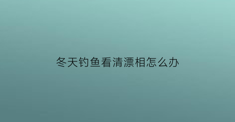 “冬天钓鱼看清漂相怎么办(冬天钓鱼是钓远还是钓近)