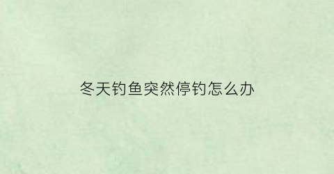 冬天钓鱼突然停钓怎么办(冬天钓鱼不开口怎么解决)
