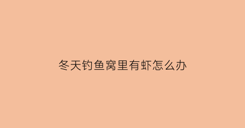 冬天钓鱼窝里有虾怎么办(冬天钓虾场可以钓吗)