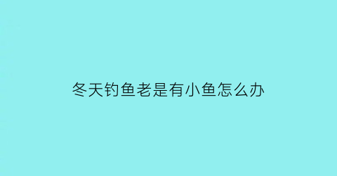 “冬天钓鱼老是有小鱼怎么办(冬天钓鱼冷怎么办)