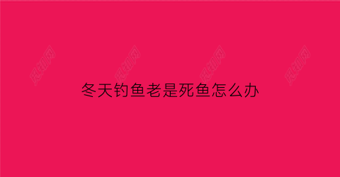 冬天钓鱼老是死鱼怎么办(冬天钓鱼冷怎么办)