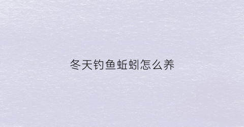 冬天钓鱼蚯蚓怎么养(冬天钓鱼蚯蚓怎么养的)