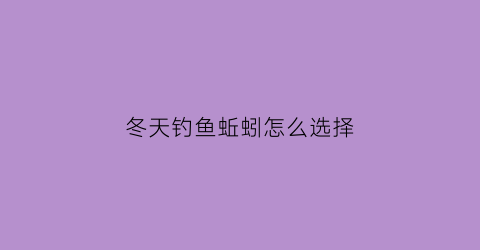 冬天钓鱼蚯蚓怎么选择(冬天钓蚯蚓好还是饵料好)