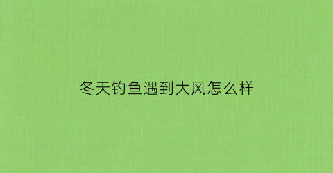 冬天钓鱼遇到大风怎么样(冬天钓鱼遇到大风怎么样处理)