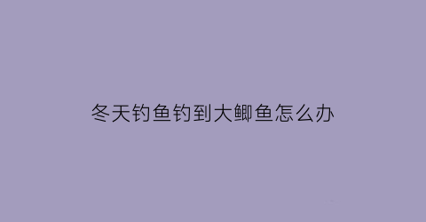 “冬天钓鱼钓到大鲫鱼怎么办(冬天钓鲫鱼小鱼太多怎么办)