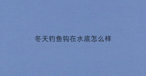 冬天钓鱼钩在水底怎么样(冬季钓鱼鱼钩是沉底吗)