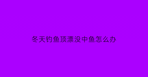 冬天钓鱼顶漂没中鱼怎么办