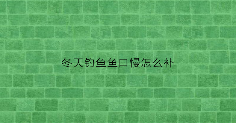 “冬天钓鱼鱼口慢怎么补(冬天鱼口轻怎么调漂)