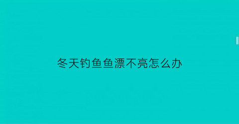 冬天钓鱼鱼漂不亮怎么办(冬天钓鱼漂相怎么看)