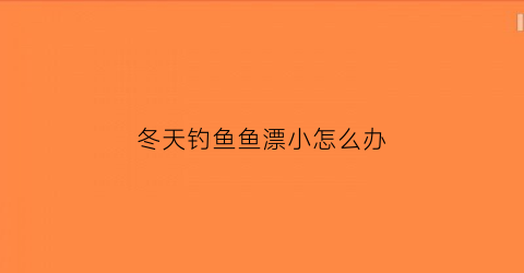 冬天钓鱼鱼漂小怎么办(冬天钓鱼漂相怎么看)