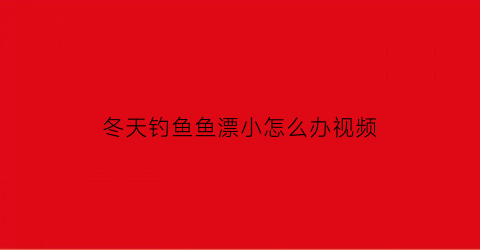 冬天钓鱼鱼漂小怎么办视频