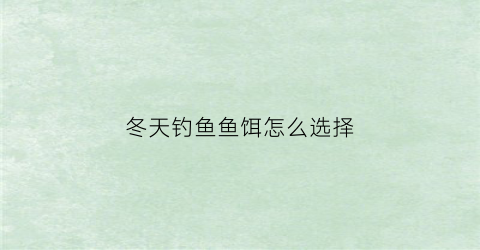 冬天钓鱼鱼饵怎么选择(冬天钓鱼鱼饵怎么选择饵料)