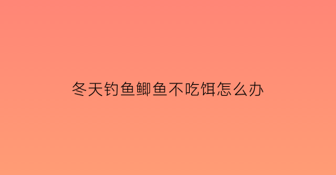 冬天钓鱼鲫鱼不吃饵怎么办(冬天鲫鱼不吃饵料)