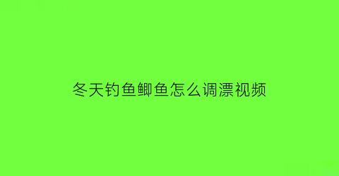 冬天钓鱼鲫鱼怎么调漂视频