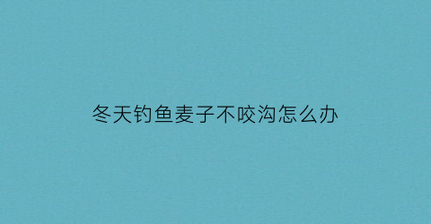冬天钓鱼麦子不咬沟怎么办