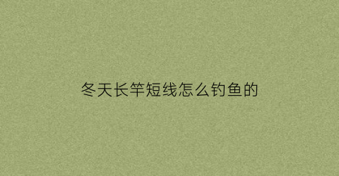 冬天长竿短线怎么钓鱼的
