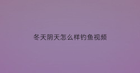 冬天阴天怎么样钓鱼视频