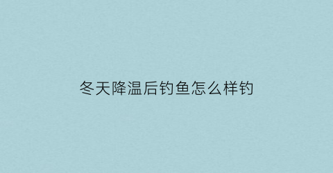 冬天降温后钓鱼怎么样钓